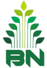 BN Agro Logo