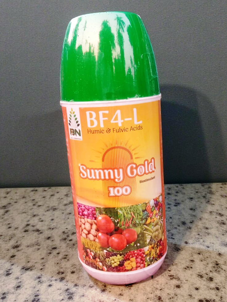 BF4L Sunny Gold 100